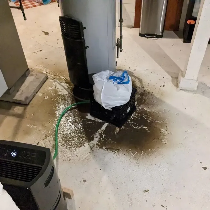 Sewage Backup Cleanup Service in Vale, OR